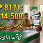 8171 Check Online CNIC