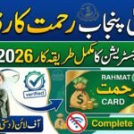CM Punjab Rahmat Card