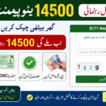 8171 New Payment 14500 CNIC Online Via Web Portal – Complete Guide 2026